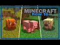 Everything You Need to Know About the Pig 1 21 5 Easy Minecraft Mob Guide