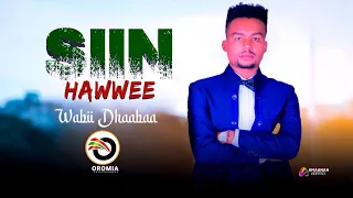 Wabii Dhaabaa Siin Hawwee New Ethiopian Oromo Music Official Video 2023 