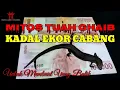 Download Lagu Mitos Tuah Ghaib Kadal Ekor Bercabang