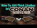 Easiest Way To GET THICK LEATHER In Conan Exiles On PS4 XB1 And Pc Full Game Release Edition