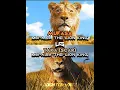 Download Lagu Mufasa vs Taka (Scar) [Mufasa : The Lion King].