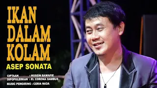 ikan dalam kolam el corona gambus voc asep sonata