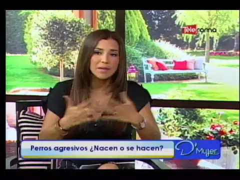 Perros agresivos, Nacen o se hacen