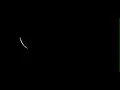 The Scientist - Coldplay (Jenny & Tyler cover) - Nashville's Total Solar Eclipse in Real Time