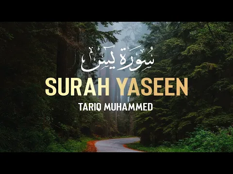 Download MP3 Surah Yaseen | #Qari_Tareq_Mohammed | سورة يس | القارئ طارق محمد Quran recitation