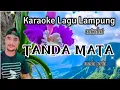 Download Lagu TANDA MATA Karaoke Lagu Lampung mixdut nada pria cipt. L Komar