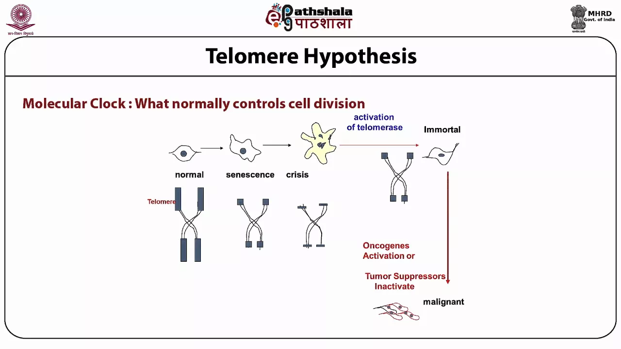 Basics of mammalian cell culture techniques