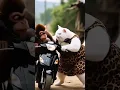 Download Lagu https://vt.tiktok.com/ZSB61Shd7/