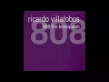 Ricardo Villalobos - 808 the Bassqueen
