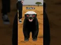 Why Honey Badgers Are Evil