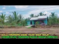 Download Lagu Lahan acap tapi tanamannya subur begini cara petani transmigrasi mengolah dan merawatnya
