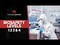 Biosafety Levels Explained Everything You Need To Know