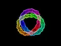 Torus Knot