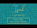 Isaiah 63 - Bible