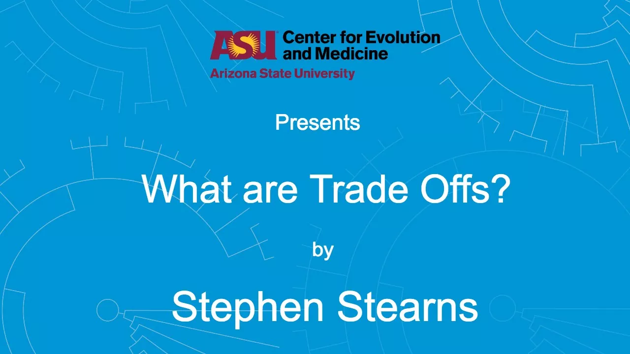 What Are Trade Offs? | Stephen Stearns