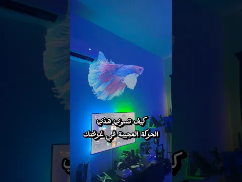 كيف تسوي حركة السمكة العجيبة في غرفتك 🐟
