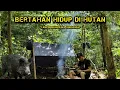 Download Lagu BERTAHAN HIDUP DI HUTAN TANPA MEMBAWA MAKANAN !! SOLO SURVIVAL | SOLO CAMPING.