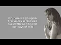 TAYLOR SWIFT - My Boy Only Breaks His Favorite Toys (Lyrics)