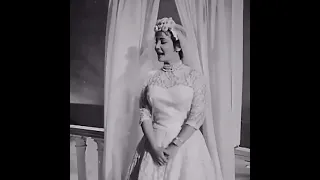 شباكنا ستايره حرير شادية 