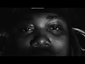 Leon Thomas, Chris Brown - Mutt (DJ LADY DIOR REMIX) [Visualizer]