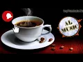 Download Lagu Kopi dangdut - Lyric - Mala Agatha