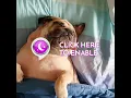 Sleep Sounds for Amazon Alexa