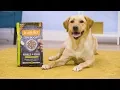 Instinct Raw Boost Dog Food Chewy