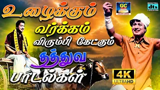 உழைக்கும் வர்க்கம் விரும்பி கேட்கும் தத்துவ பாடல்கள் | MGR , Shivaji | TMS ,P.Susheela | MSV | 4K