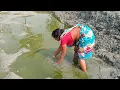 Download Lagu Hand Fishing By Village Women | Daily Village Fishing