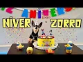 Download Lagu A FESTA SUPRESA DE ANIVERSÁRIO DO ZORRO! 🥳✨