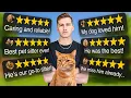 Can You Become a 5-Star Pet Sitter in a Week
