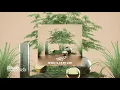 Marcus Hägg - Equilibrium Feat. Victoria Voss [Official Audio]