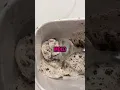 Woman Discovers Mold in Her Ice Cream