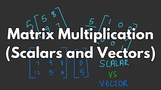 Matrix Multiplication Scalars and Vectors - Matrices 101