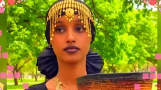 Faxumaa Ahmedin Argeera New Oromo Music 2025 Ethiopian Official Video Ifaa Oromo 