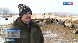 «Вести Омск», дневной эфир от 3 декабря 2020 года