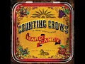 Big Yellow Taxi (feat. Vanessa Carlton) - Counting Crows