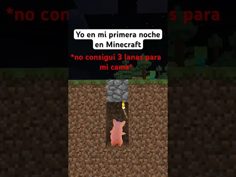 ¿También les paso? #minecraft #memes #minecraftmemes #srgato #humor