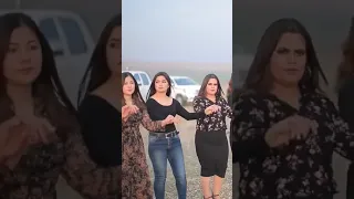 اغنيه شوفير القماره 