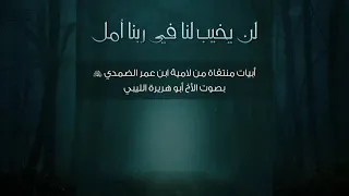 الأمل بالله أبو هريره الليبي 