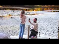 the proposal