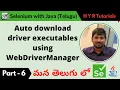 P6 - Auto Download driver executables using WebDriverManager