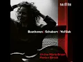 Schwanengesang, D. 957: XIV. Die Taubenpost (Arr. for Cello and Piano by Leopold Jansa) - Ursina Maria Braun, Florian Birsak & Franz Schubert