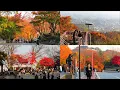 Namsan Mountain in Seoul is bursting with brilliant autumn colors