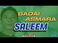 Download Lagu BADAI ASMARA - SALEEM. [ KARAOKE ]