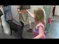 AZ Humane Society at capacity waiving adoption fees on all pets Saturday