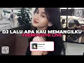 Download Lagu DJ LALU APA KAU MEMANGGILKU TIBA TIBA KAU MINTA MAAF PADAKU | DJ SELINGKUH TREND FOTO LIVE VIRAL!!! 