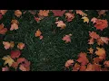 girl in red - October Passed Me By (Official Audio)