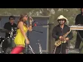 Los de Abajo - INSECTO - CLANDESTINO
