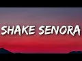 Download Lagu Pitbull - Shake Senora (Lyrics) ft. T-Pain, Sean Paul